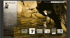 Desktop Screenshot of evelynepellaton.ch